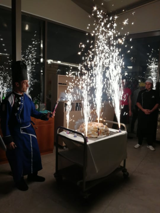 Sonstiges Seashell Vega