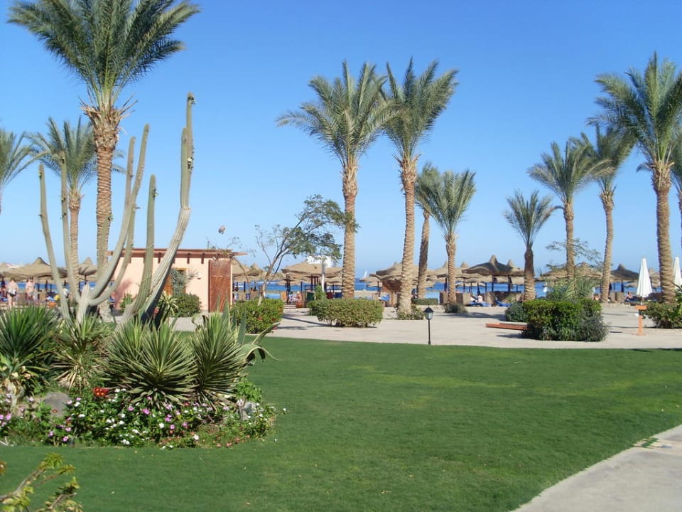 Garten mit Blick zum Strand Iberotel Makadi Beach