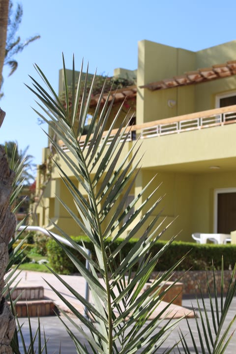 Außenansicht Palm Beach Resort