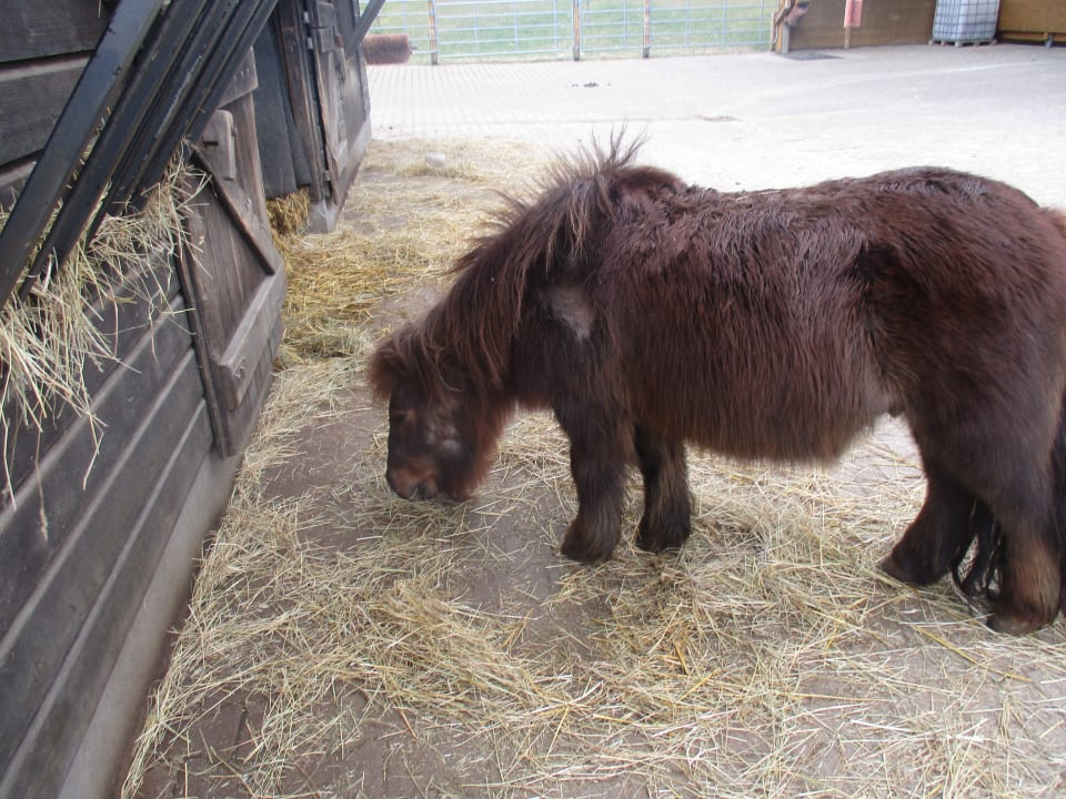 Sonstiges Landhaus Schulte-Göbel ... das Kinderparadies
