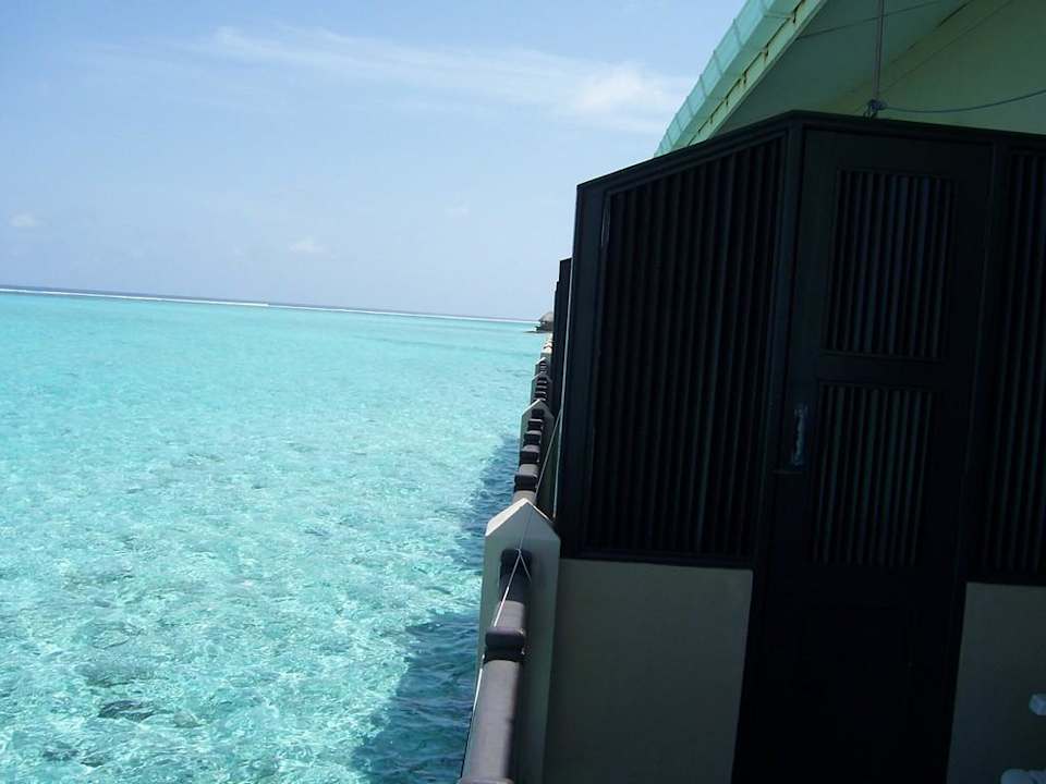 Sichtschutz Summer Island Maldives