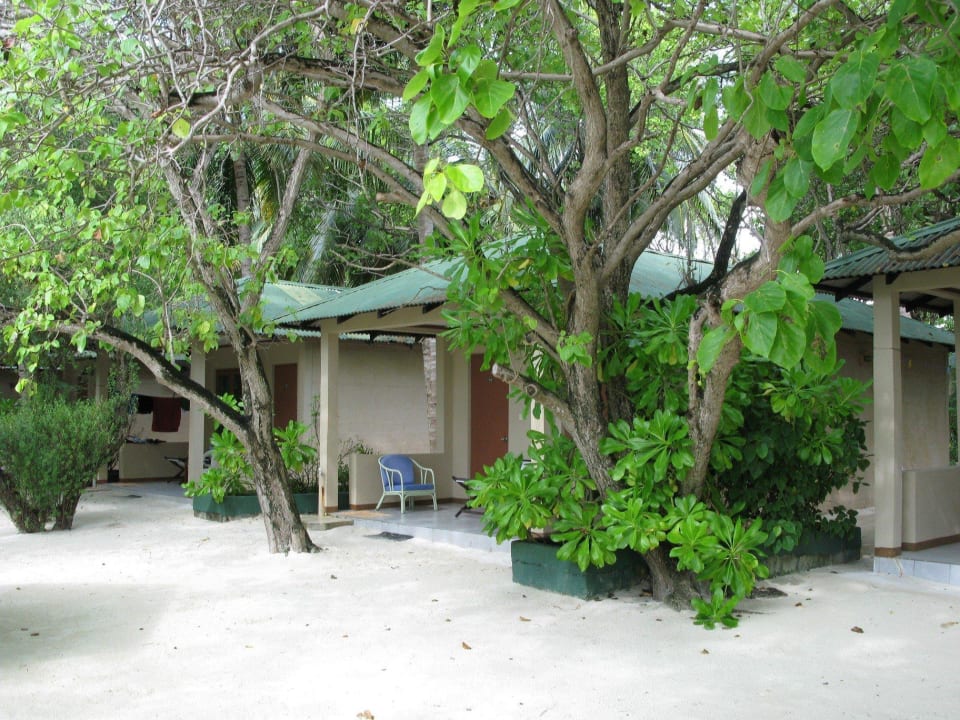 Unser Bungalow (Nr. 16) Summer Island Maldives