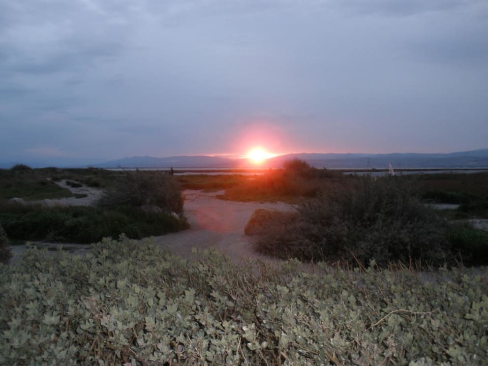 Abendstimmung L'Ile des Pêcheurs
