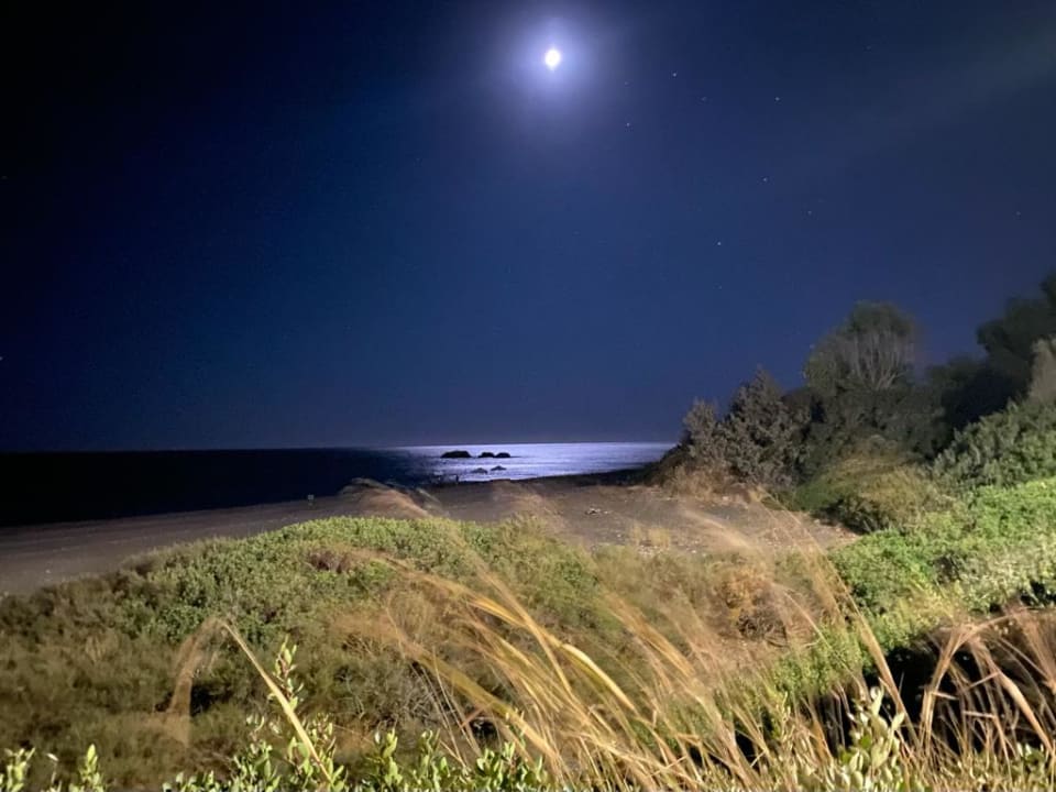 Strand Ekaterini Hotel