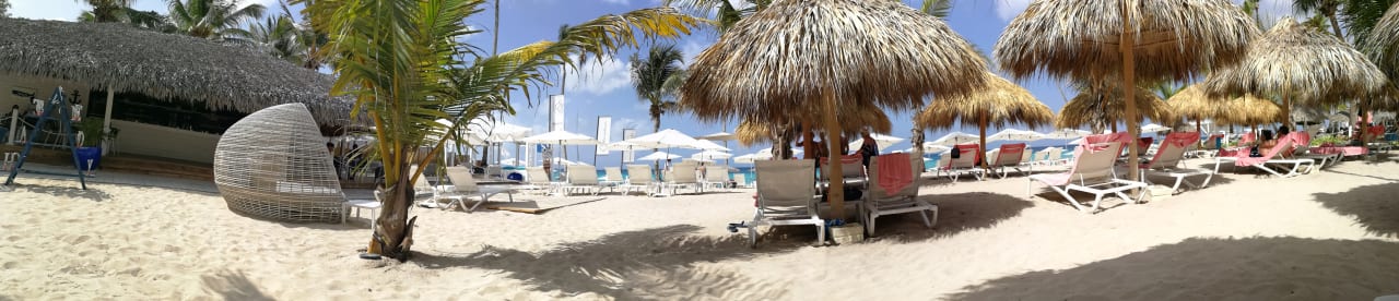 Panoramabild Catalonia Royal La Romana - Adults only