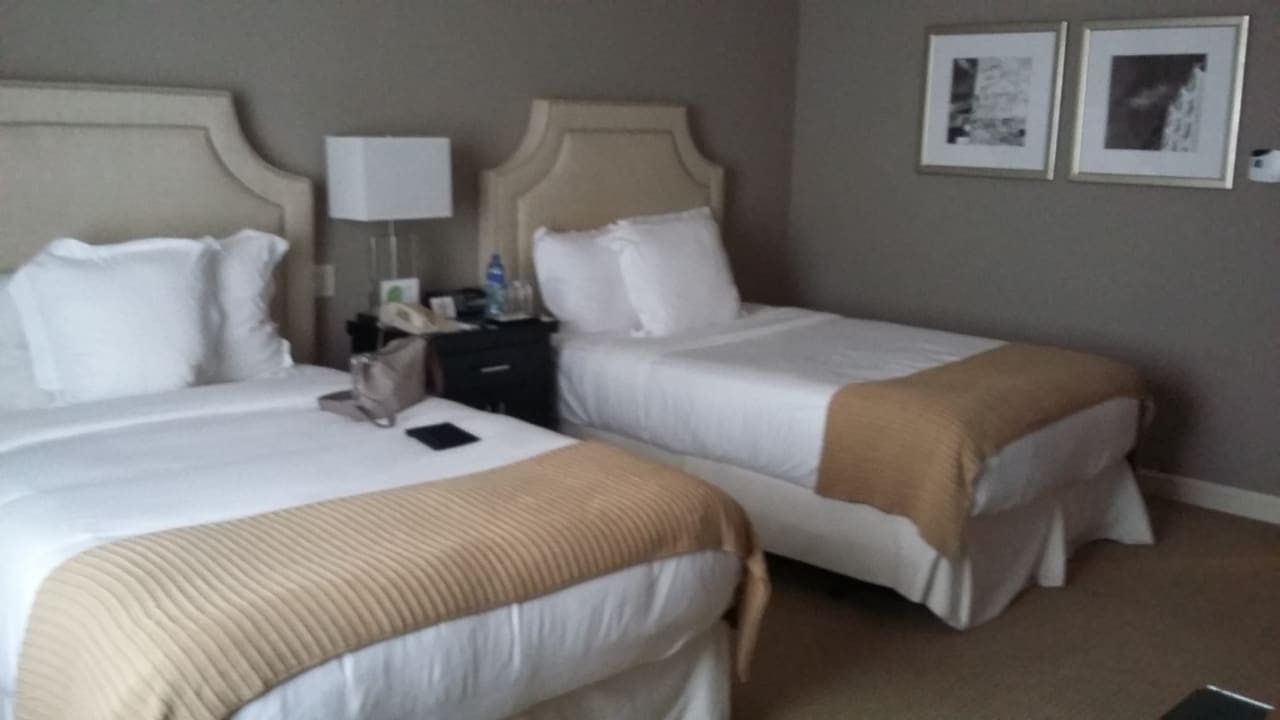 Zimmer Hotel Bristol Panama