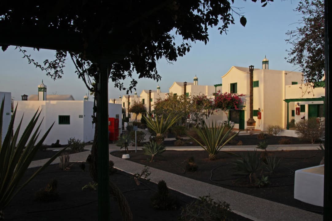 Bungalows im Tageslicht Hotel Hyde Park Lane