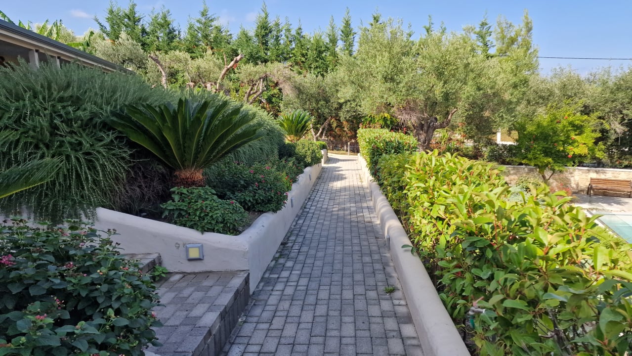 Gartenanlage Hotel Anna Maria Paradise