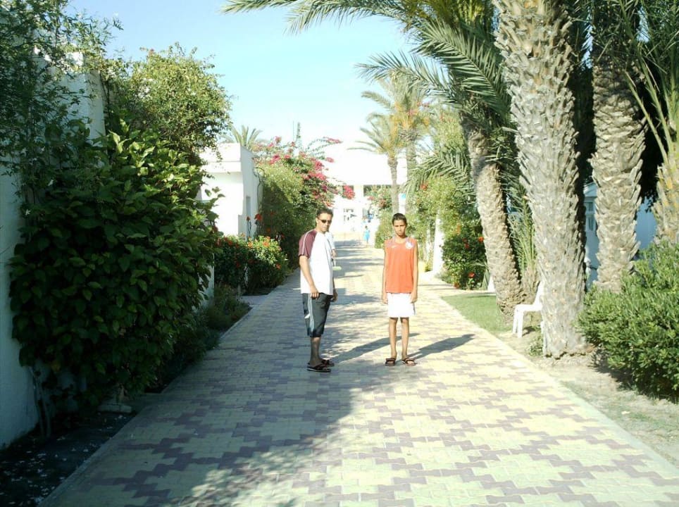 Une des nombreuses allées qui embaument le jasmin El Mouradi Club Kantaoui