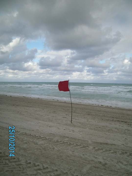 Badeverbot Starfish Cuatro Palmas