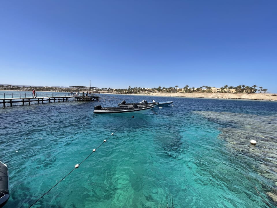 Strand Steigenberger Resort Alaya Marsa Alam - Red Sea - Adults only