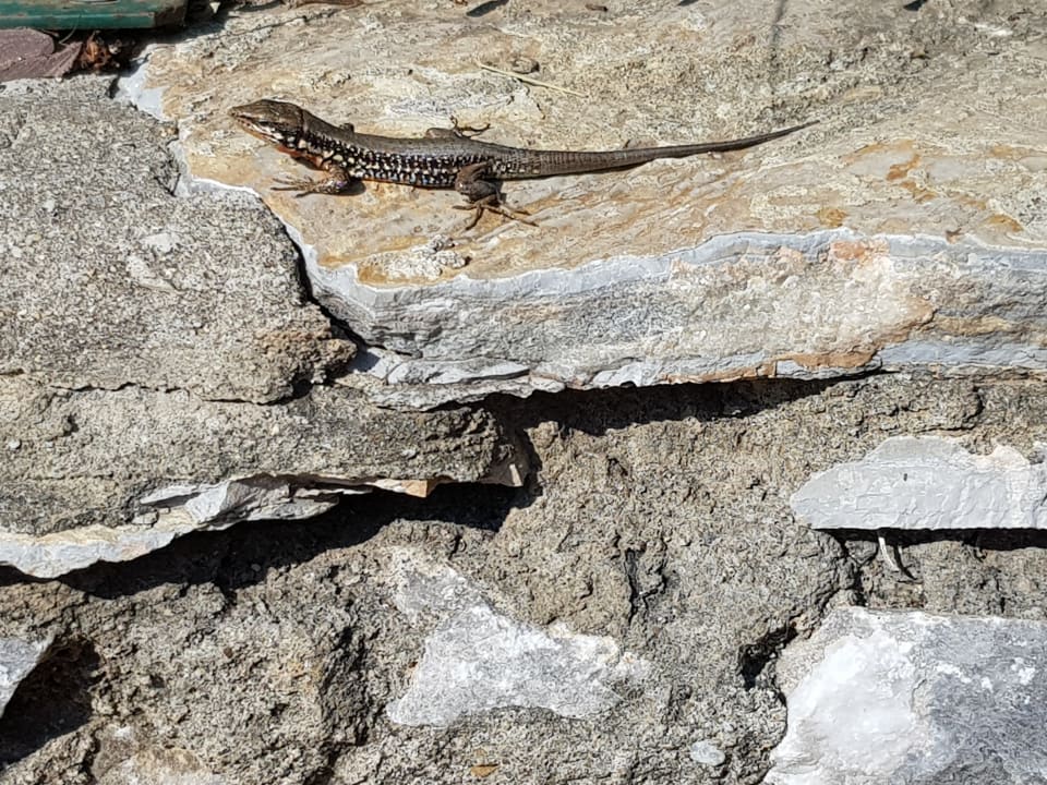 Gartenanlage Labranda Mares Marmaris