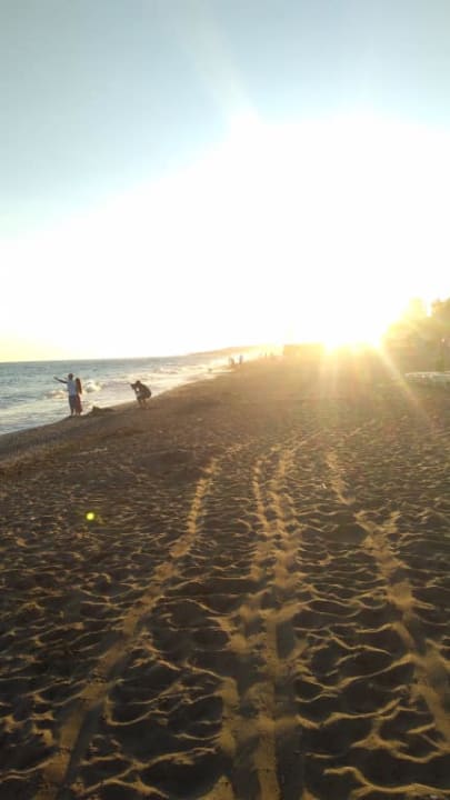 Plaża Monachus Family Resort Sorgun