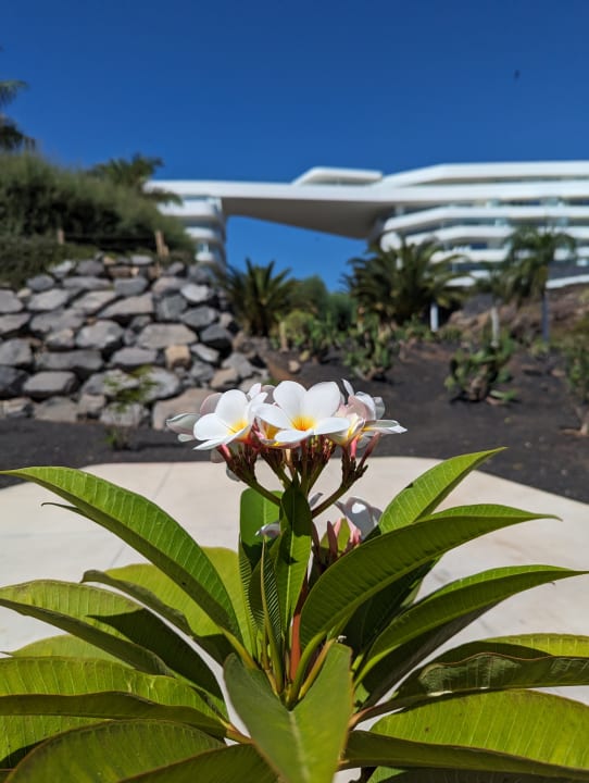 Außenansicht Royal Hideaway Corales Beach