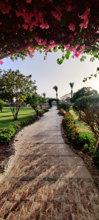 Gartenanlage Hurghada Long Beach Resort