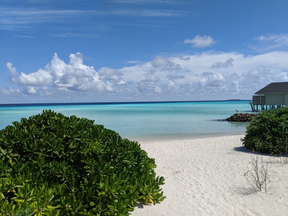 Ausblick Summer Island Maldives