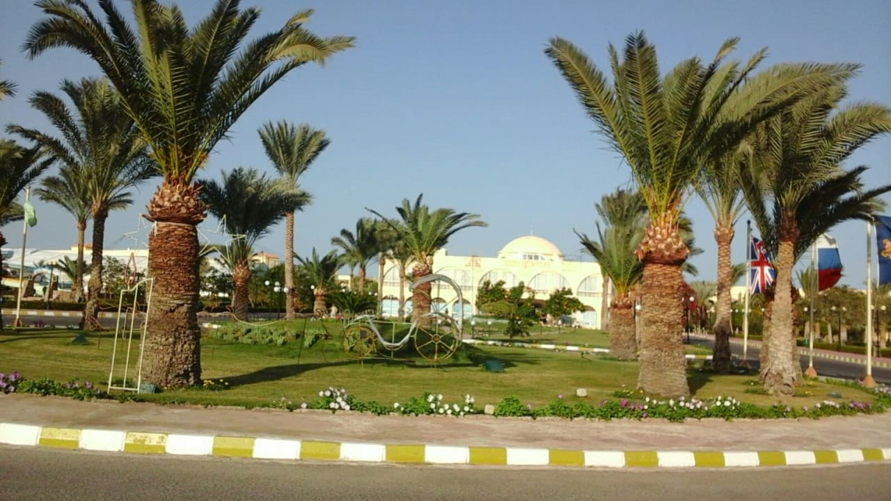 Gartenanlage Desert Rose