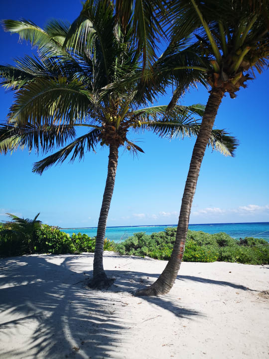 Außenansicht Akumal Bay Beach & Wellness Resort