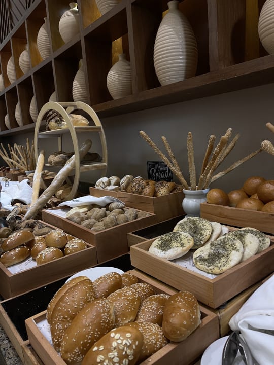 Gastro Steigenberger Resort Alaya Marsa Alam - Red Sea - Adults only