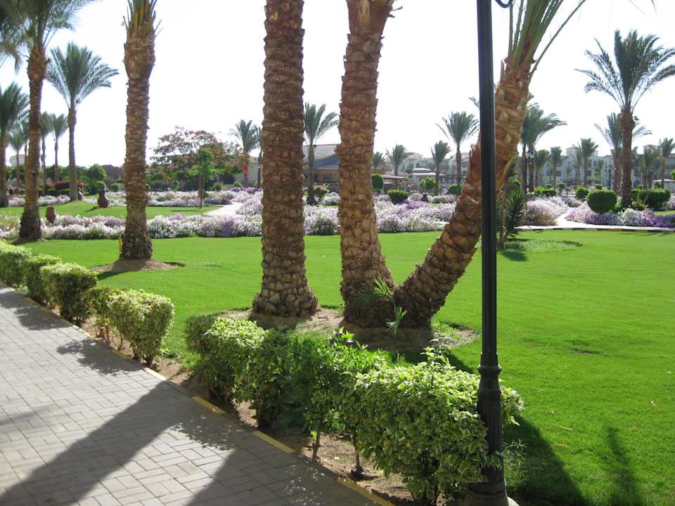 Blick von unserer Terrasse im 6000er Block Pickalbatros Dana Beach Resort - Hurghada