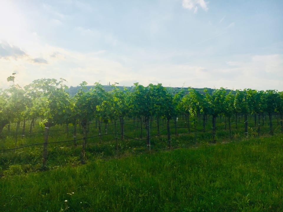 Sonstiges Landhaus Weinblick