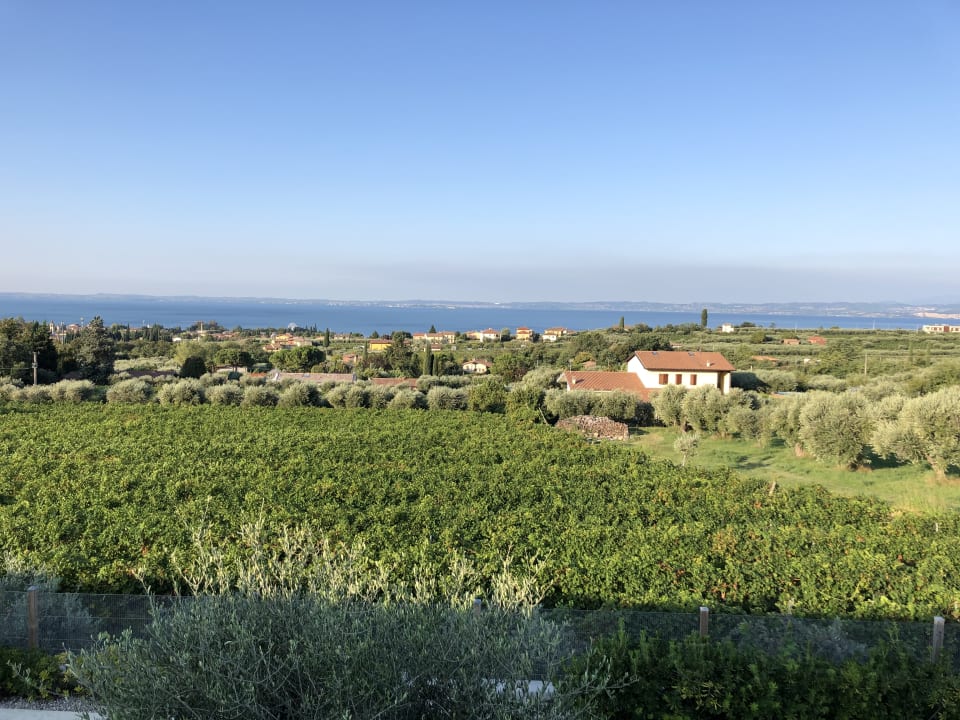 Ausblick Appartements Bellavista