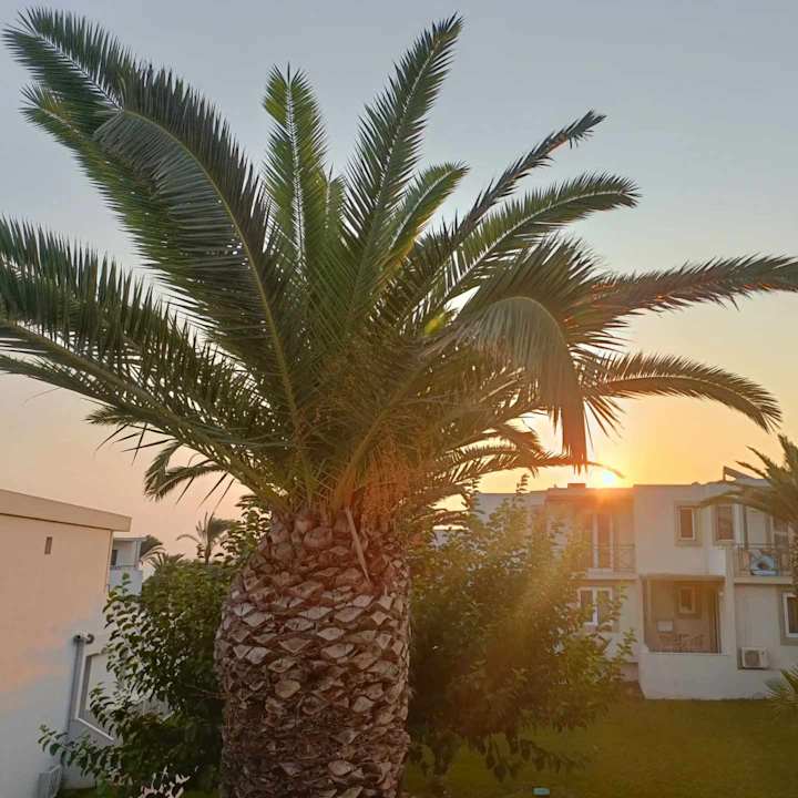 Ausblick HARPIN Georgioupolis Resort Aquapark & SPA