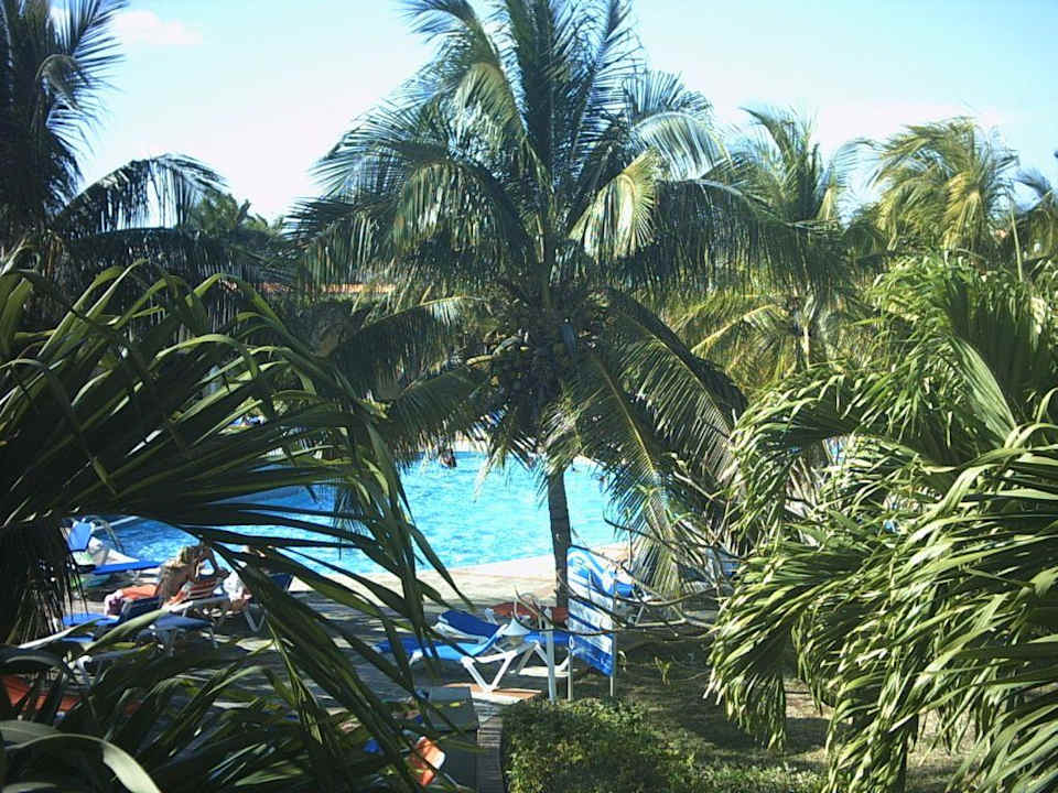 Zimmeraussicht Brisas del Sur Hotel Brisas del Caribe