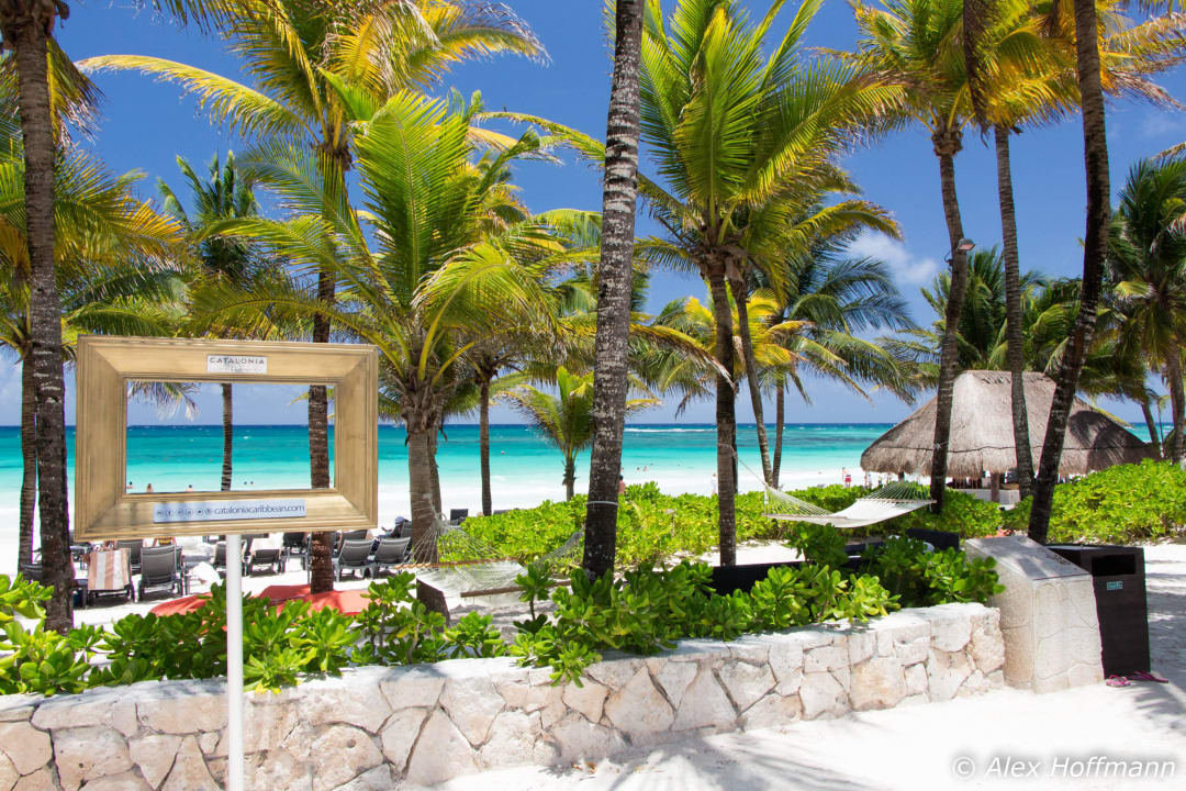 Sehr schöner Strand Catalonia Royal Tulum Beach & Spa Resort - Adults only