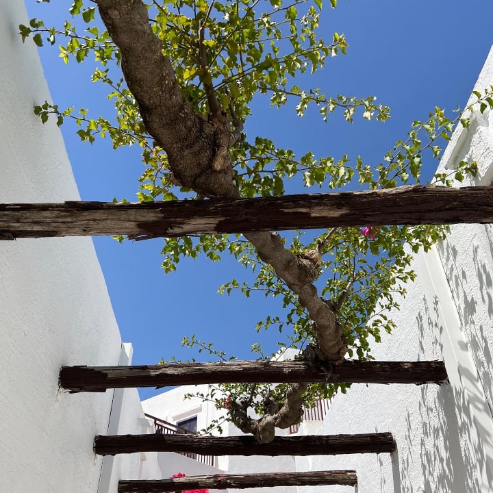 Gartenanlage Creta Maris Resort