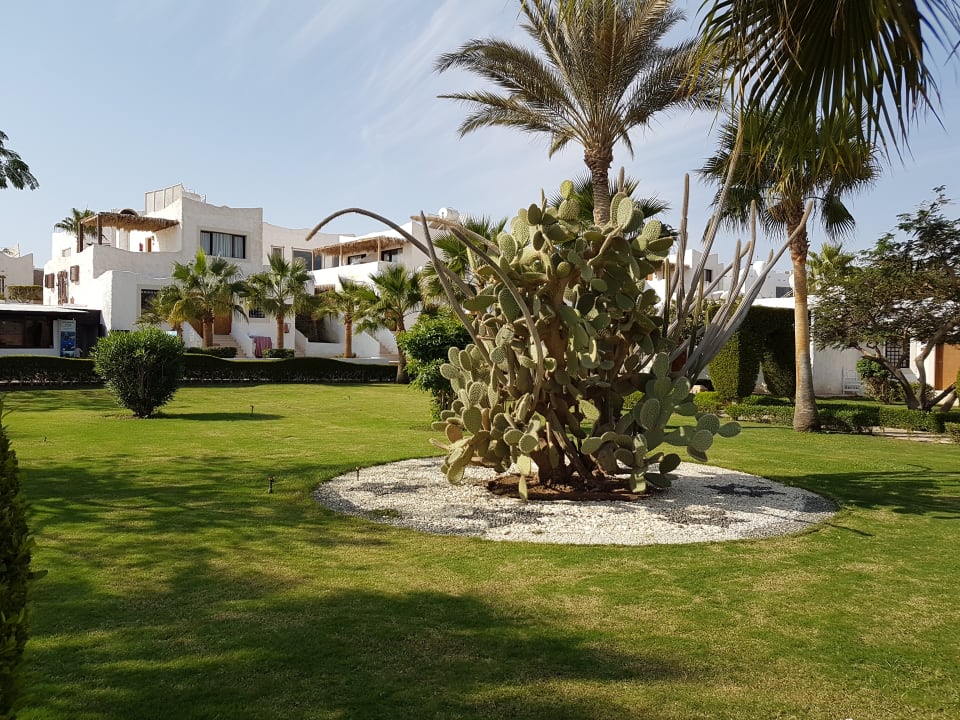 Gartenanlage Sharm Club Beach Resort