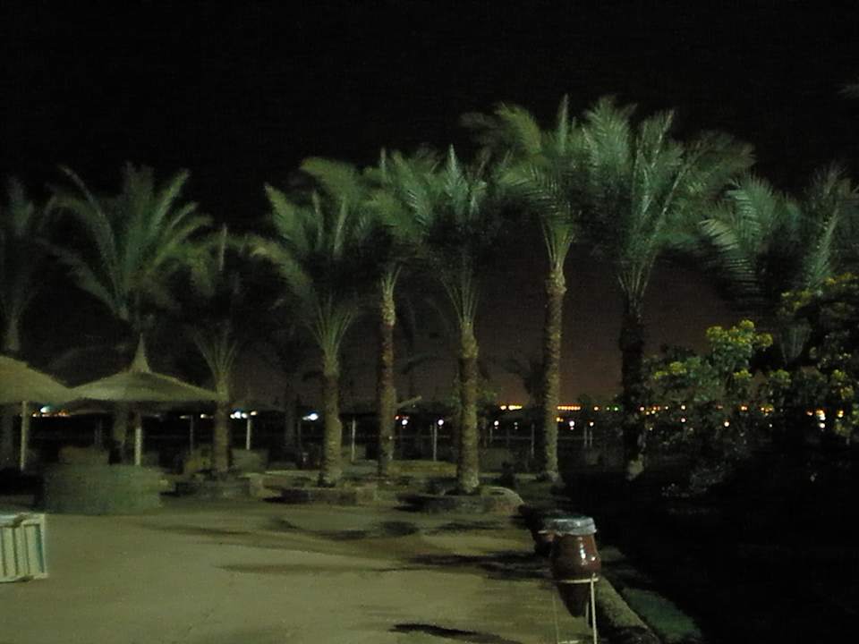 Strand Pickalbatros Palace Resort