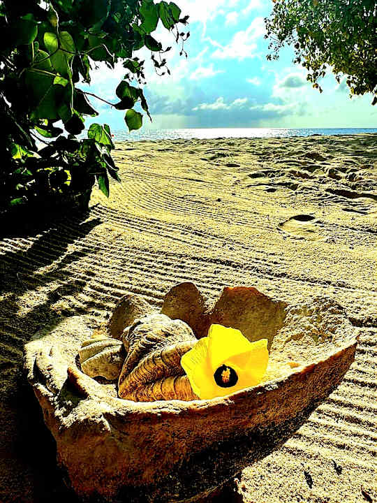 Sonstiges Dreamland The Unique Sea & Lake Resort / Spa