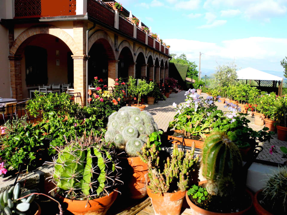 PIANTE IN GIARDINO Hotel Le Renaie