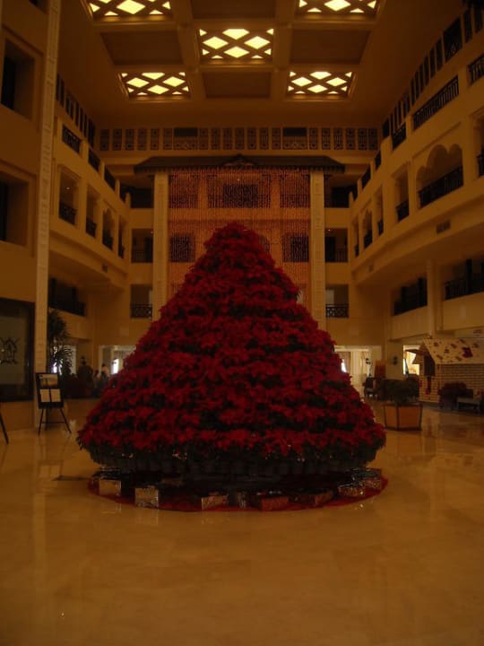 Steigenberger al Dau Beach Hotel Steigenberger ALDAU Beach Hotel