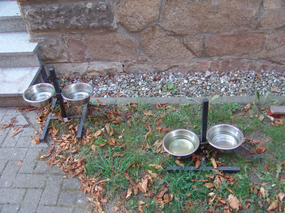 Außenansicht Hotel Historische Spitzgrundmühle
