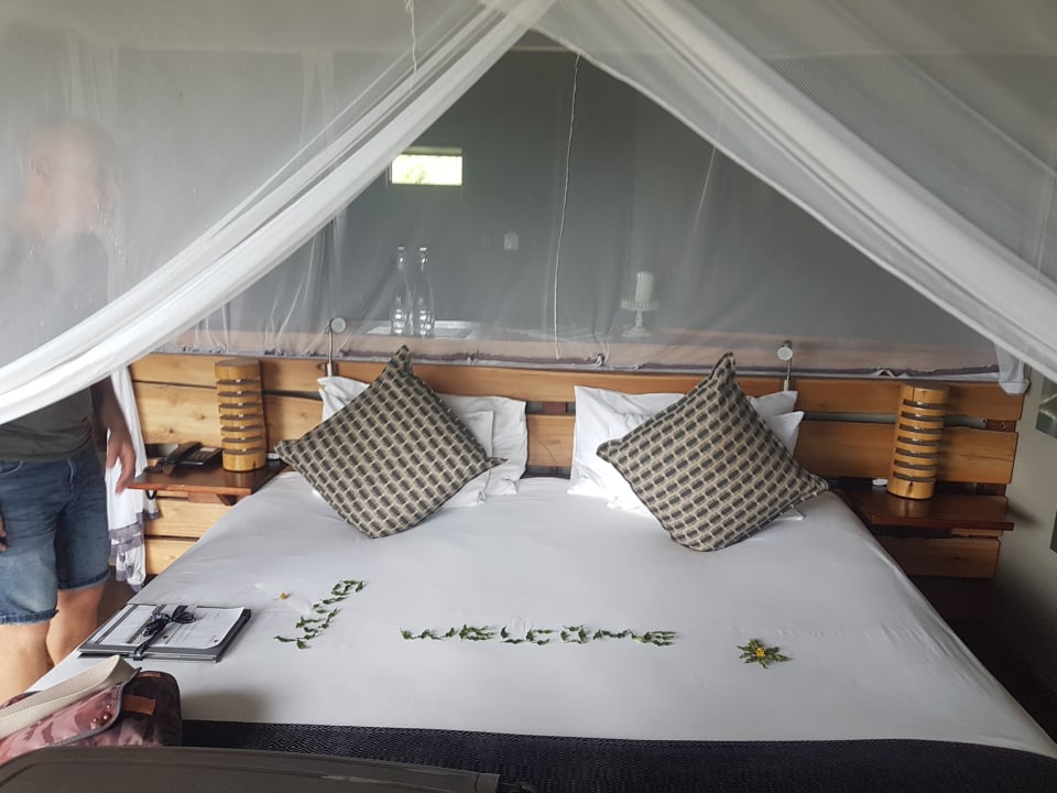 Zimmer Rhino Ridge Safari Lodge