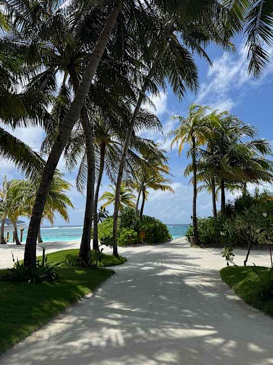 Gartenanlage OBLU SELECT at Sangeli Island