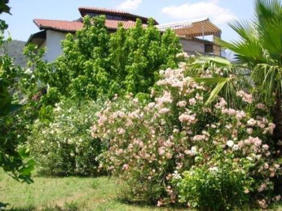 Anatolia Resort in blühendem Garten Hotel Anatolia Resort