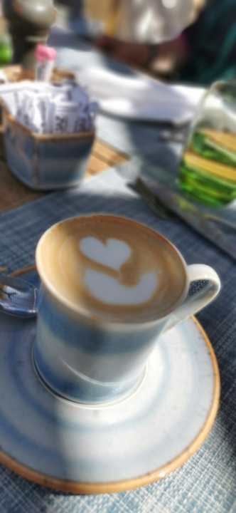 Gastro JAZ Elite Amara