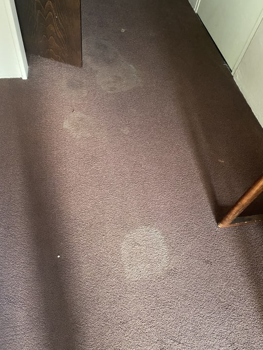 Zimmer Fletcher Hotel-Restaurant Erica