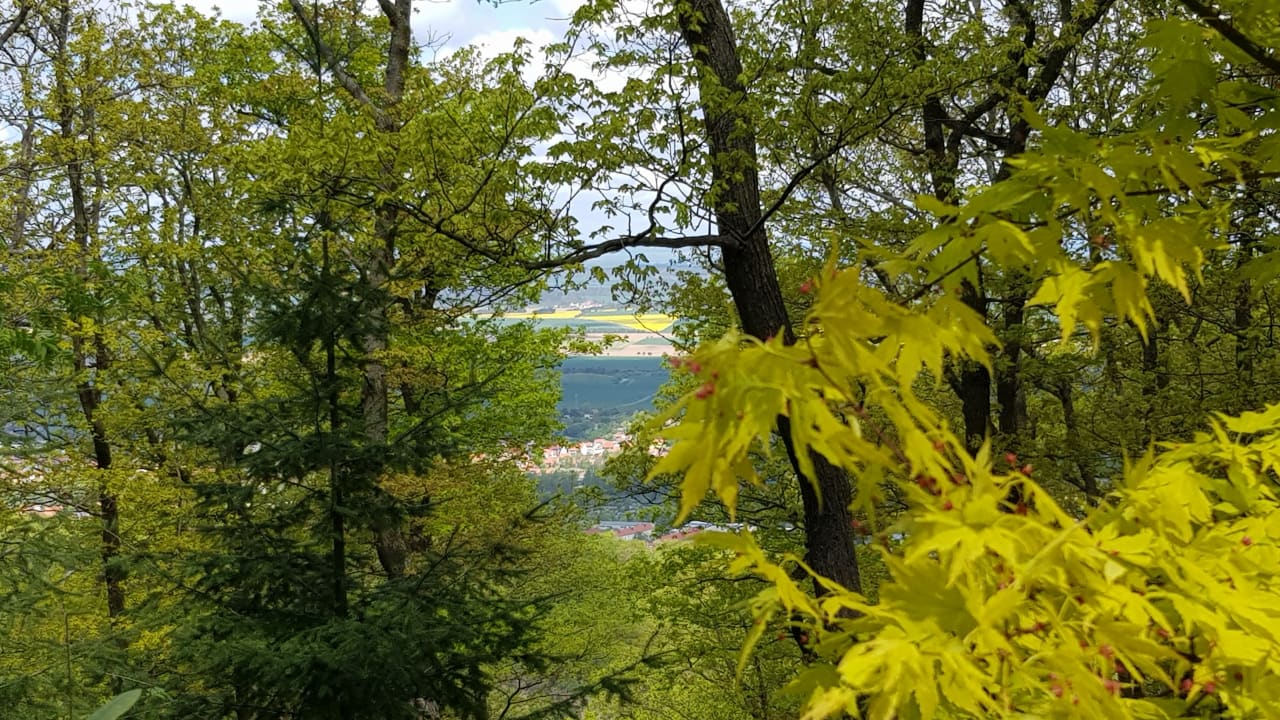 Sonstiges Naturtraum Georgshöhe