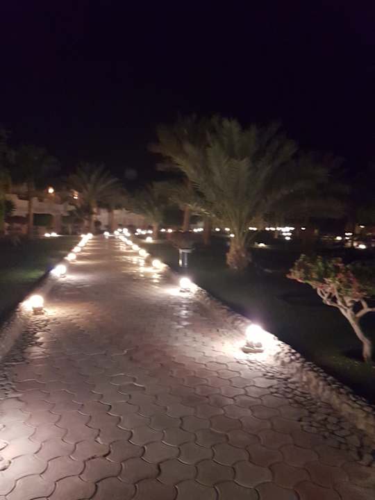 Gartenanlage Three Corners Sea Beach Resort