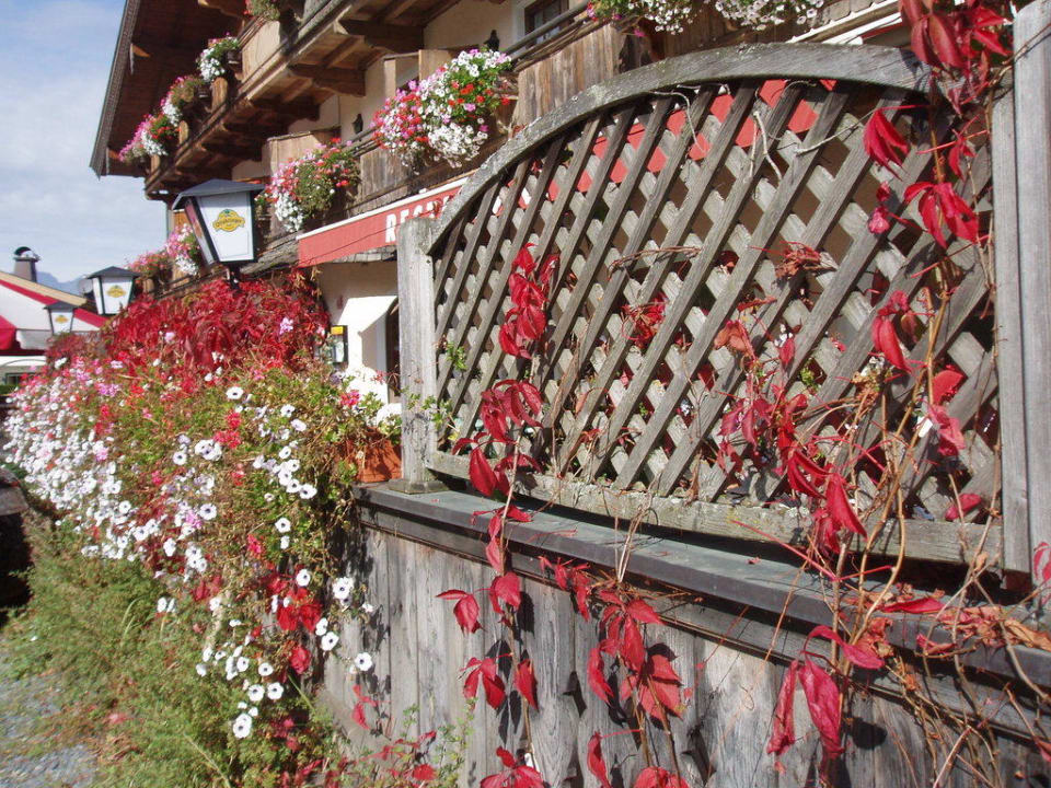 Garten Ferienhotel Alpenhof Aurach