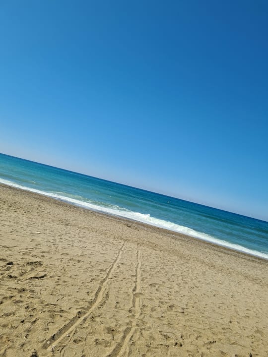 Strand Hotel Royal Garden Beach