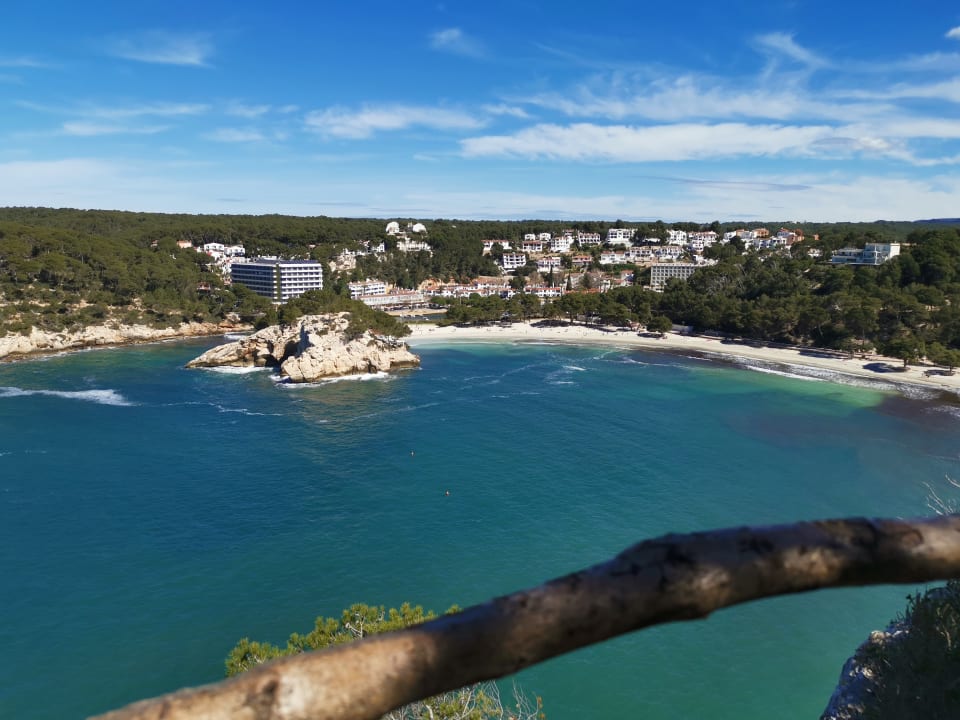 Ausblick Comitas Floramar