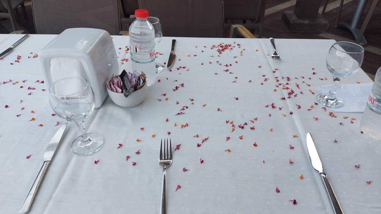 Gastro Saturn Palace Resort Hotel