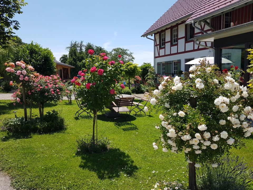Gartenanlage Hotel Garni Landgut Apfelrose