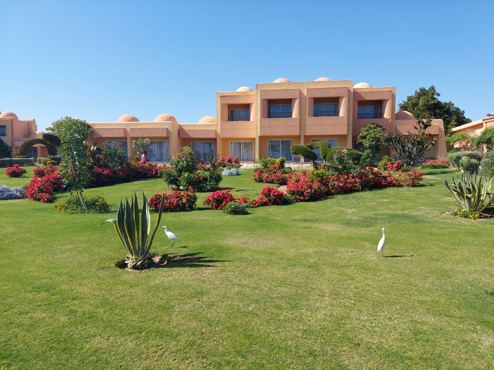 Außenansicht Wadi Lahmy Azur Resort