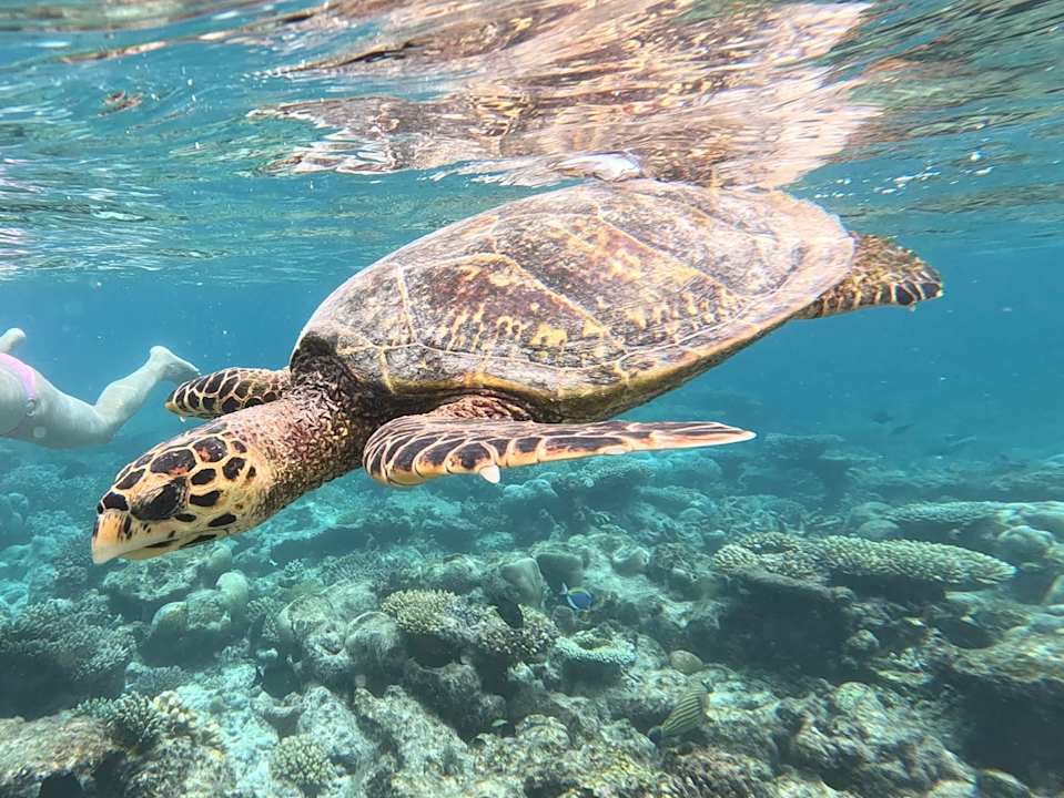 Strand NH Collection Maldives Havodda Resort